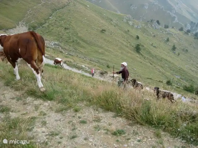 casa de susa en Italia, Piamonte, Susa - casa rural / cabaña en el Rocciamelone