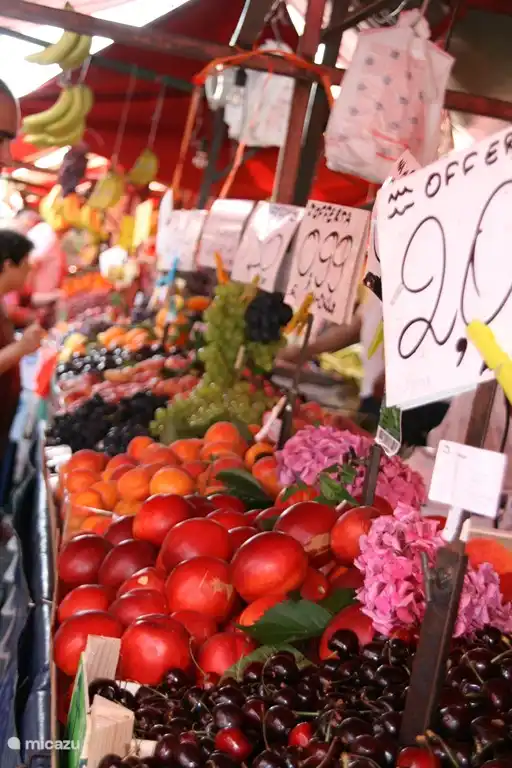 Porte du Palais Turino