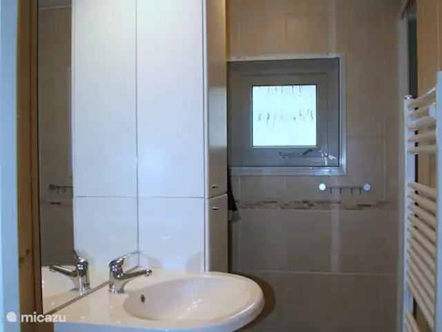Vieille Meule | Pays-Bas, Overijssel, Haaksbergen - maison de vacances Salle de bain avec cabine de douche et meuble vasque.