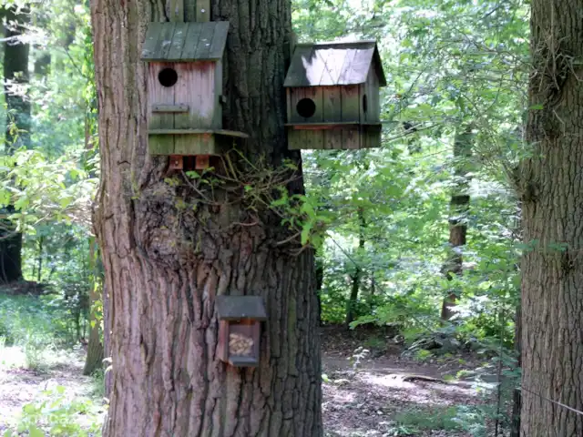 Vieille Meule | Pays-Bas, Overijssel, Haaksbergen - maison de vacances C'est là que les écureuils obtiennent les cacahuètes.
Nichoirs à écureuils.