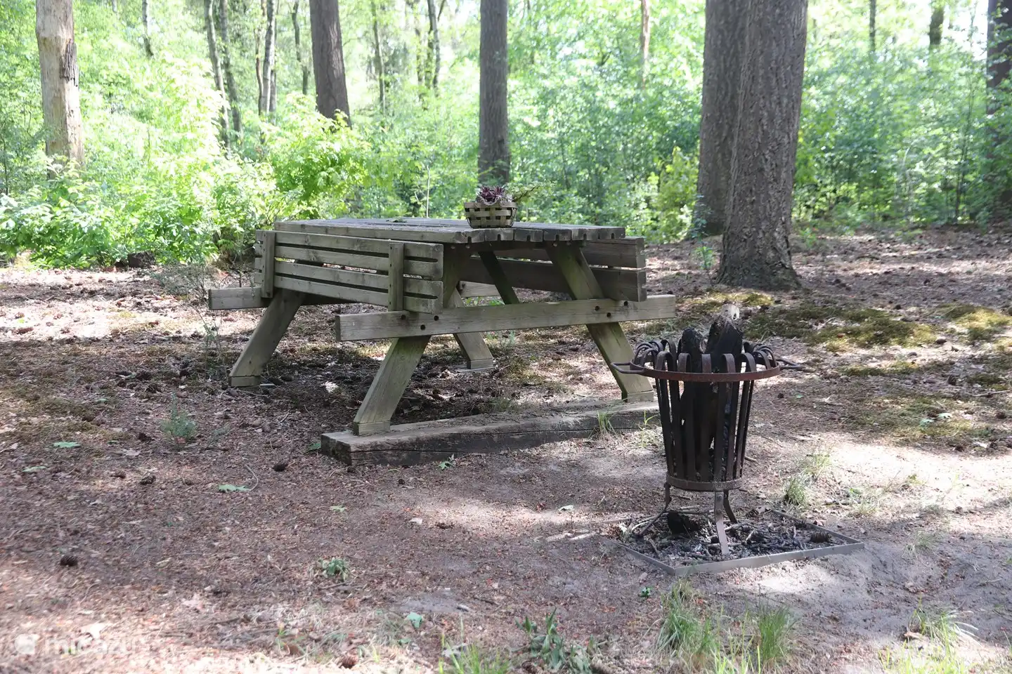 Picknickbank met vuurkorf bij de bosrand achter het huisje.