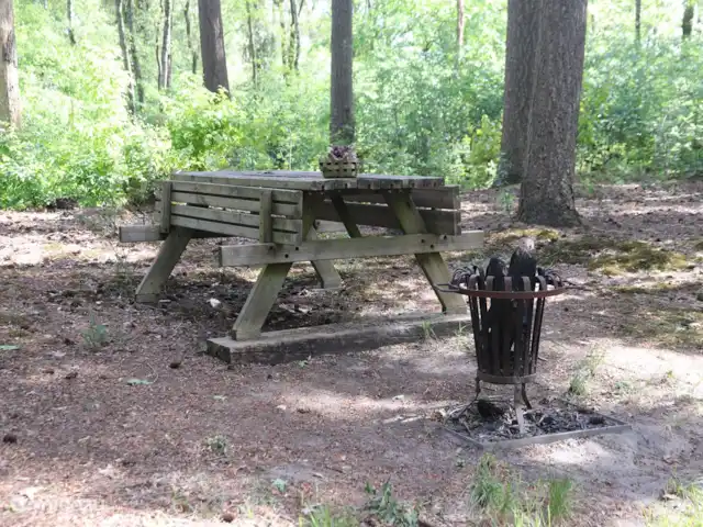 Vieille Meule | Pays-Bas, Overijssel, Haaksbergen - maison de vacances Banc de pique-nique avec foyer à l'orée de la forêt derrière le chalet.