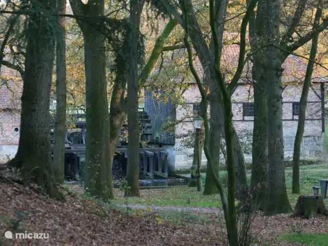 Vieille Meule | Pays-Bas, Overijssel, Haaksbergen - maison de vacances Vue de ce moulin à eau spécial depuis la terrasse.