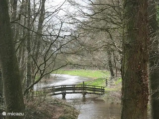 Vieille Meule | Pays-Bas, Overijssel, Haaksbergen - maison de vacances Vu du salon.