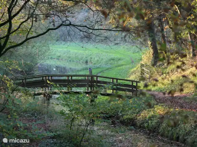 Vieille Meule | Pays-Bas, Overijssel, Haaksbergen - maison de vacances Vue de la terrasse sur ce pont et Buurserbeek.