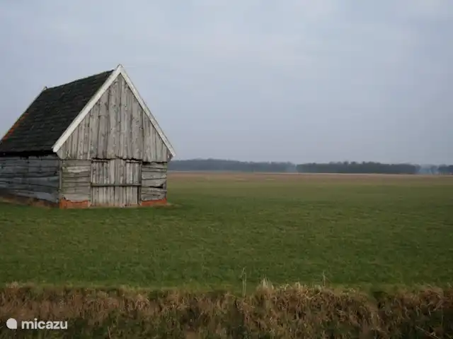 Vieille Meule | Pays-Bas, Overijssel, Haaksbergen - maison de vacances Quartier Haaksbergerveen Buurse