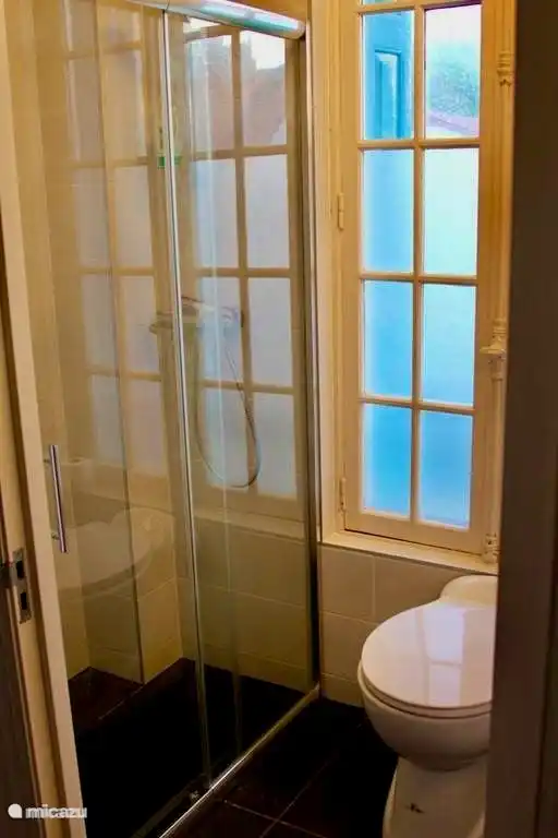 Eerste verdieping; Badkamer 1 met douche, WC en wastafel