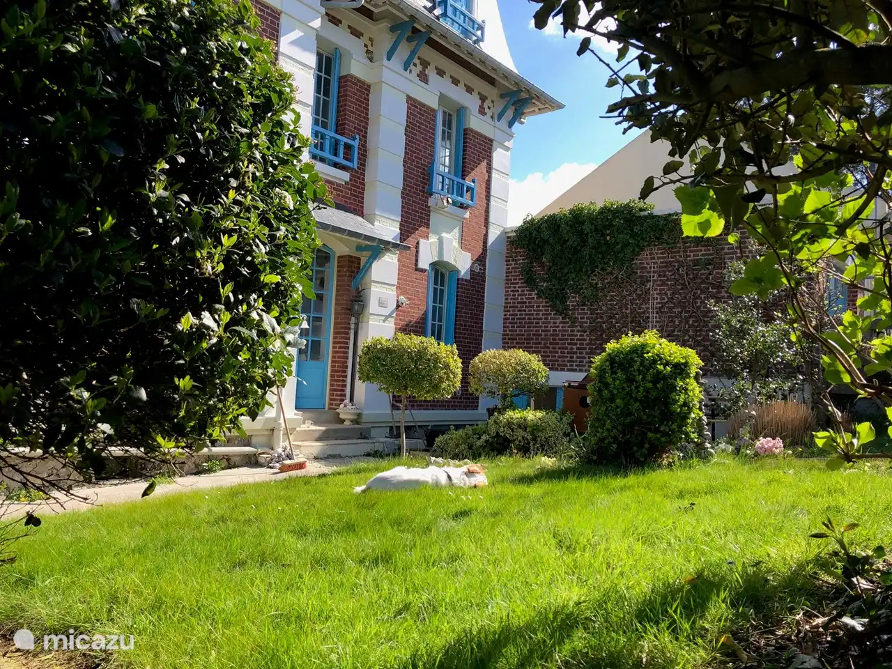 Een zonnige luie tuin