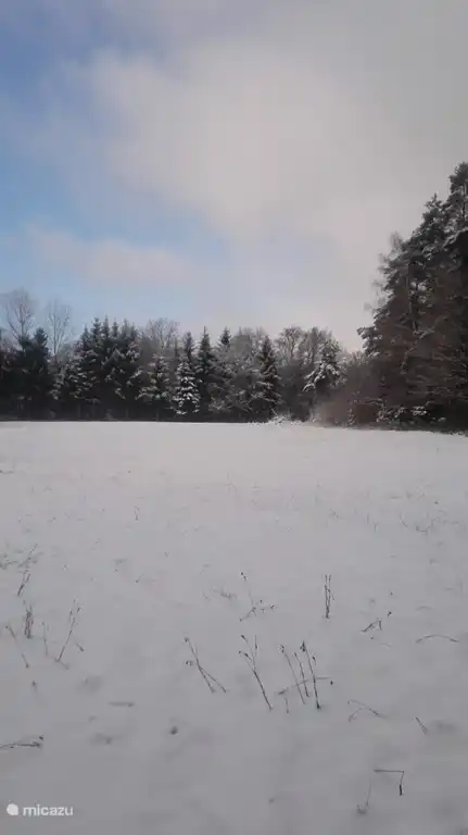 Invierno en las Ardenas