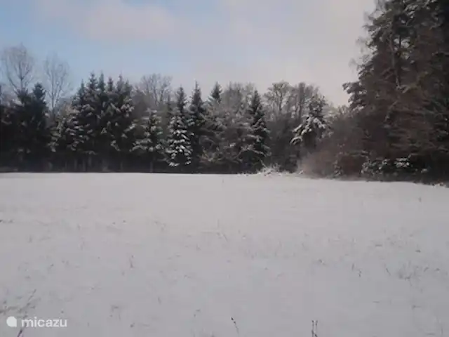 Location de Vacances Belgique, Ardennes, Gedinne, maison de vacances - Gîte Vencimont L'hiver en Ardenne