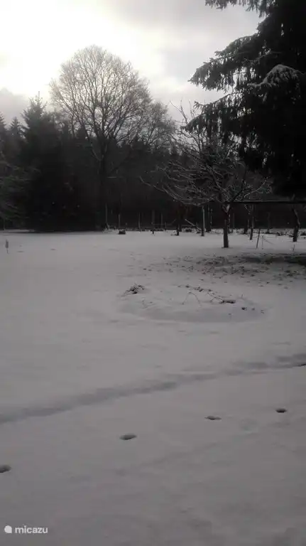 Jard&#237;n de invierno