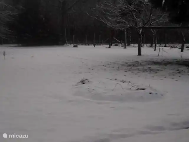 Location de Vacances Belgique, Ardennes, Gedinne, maison de vacances - Gîte Vencimont jardin d'hiver