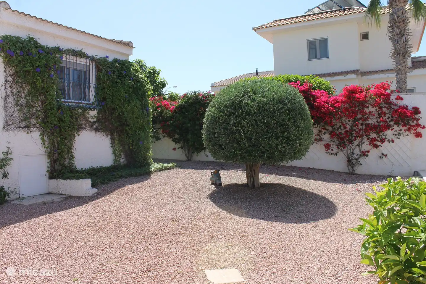 Das Gästehaus hat auch schöne lila Blumen.