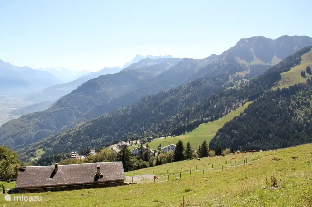 Camina cerca de nuestra casa