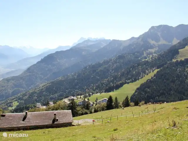 Chalet Mignon vrijstaand & zonnig huren in Zwitserland, Wallis, Torgon - chalet Wandeling bij ons huis