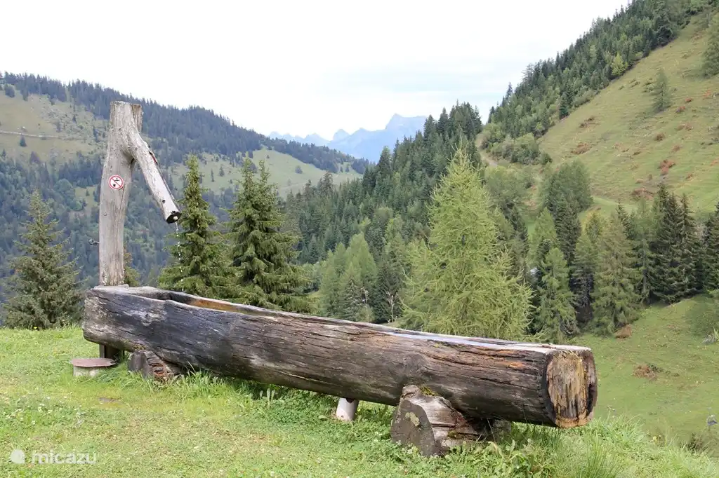 Nunca tengas sed mientras viajas...