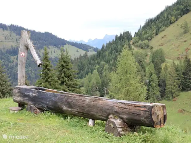 Chalet Mignon vrijstaand & zonnig huren in Zwitserland, Wallis, Torgon - chalet Nooit dorst onderweg...