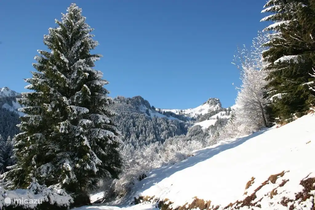 vista desde la cocina