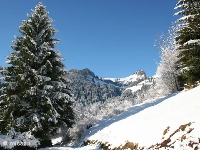 Chalet Mignon vrijstaand & zonnig huren in Zwitserland, Wallis, Torgon - chalet Uitzicht vanuit de keuken