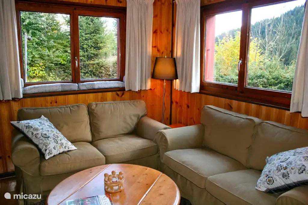 Cómodos sofás en la sala de estar