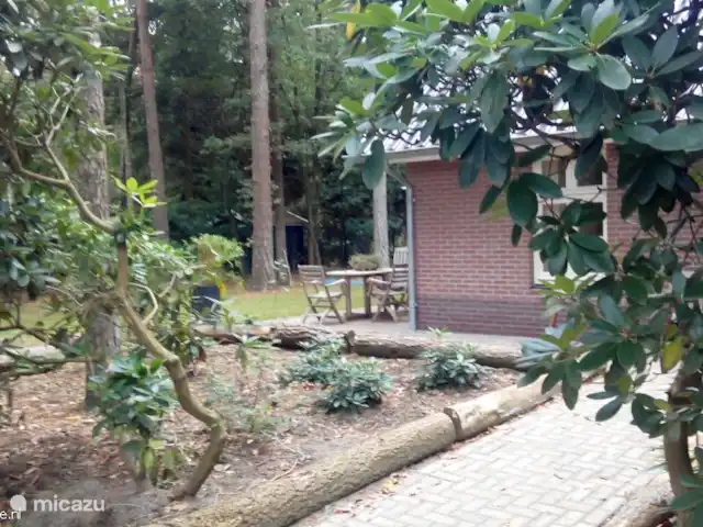 Maison d'Orange | Pays-Bas, Overijssel, Holten - maison de vacances Maison de vacances à Holten