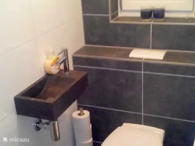 Maison d'Orange | Pays-Bas, Overijssel, Holten - maison de vacances Toilettes