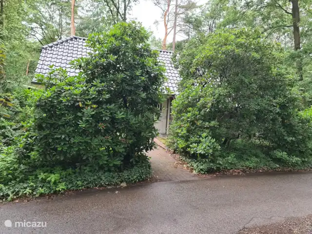 Maison d'Orange | Pays-Bas, Overijssel, Holten - maison de vacances Maison d’Orange à Holten avec un beau jardin.