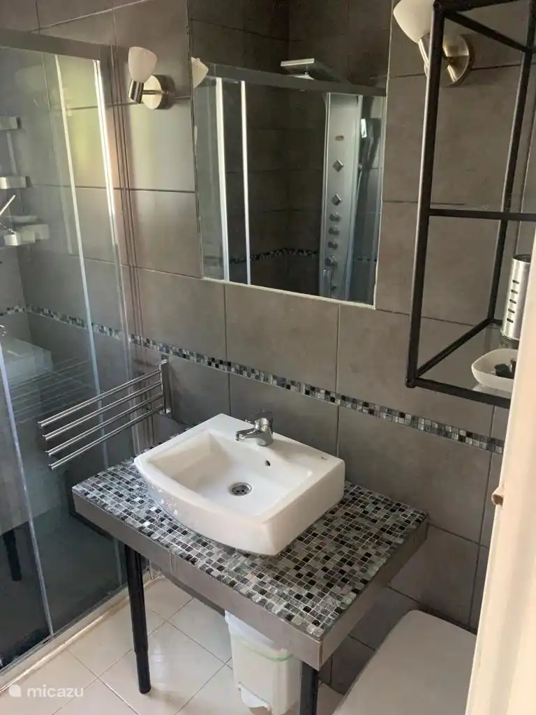 lavabo et WC, douche à l'italienne, 2ème salle de bain