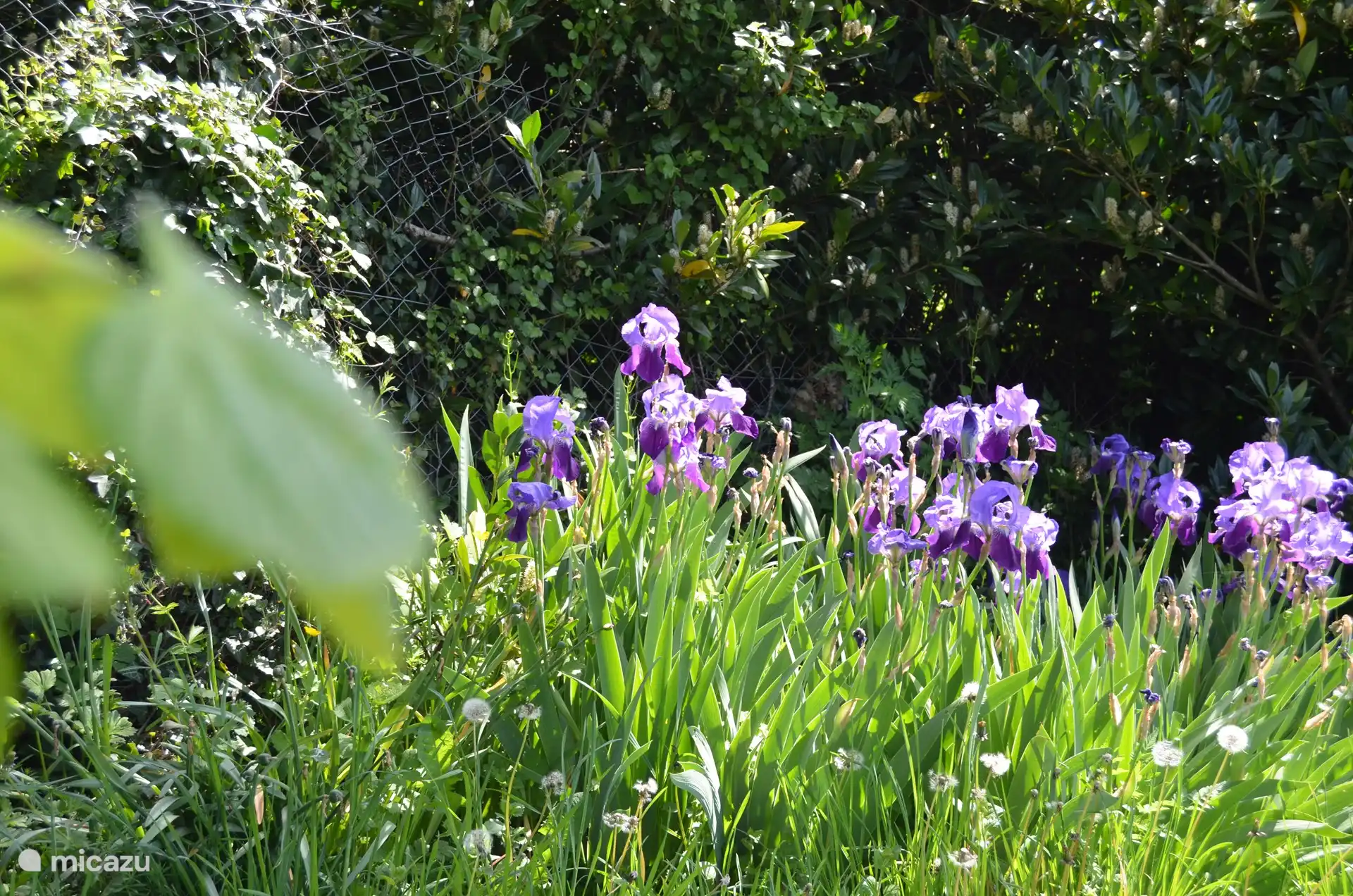 Unser Garten im zeitigen Frühling