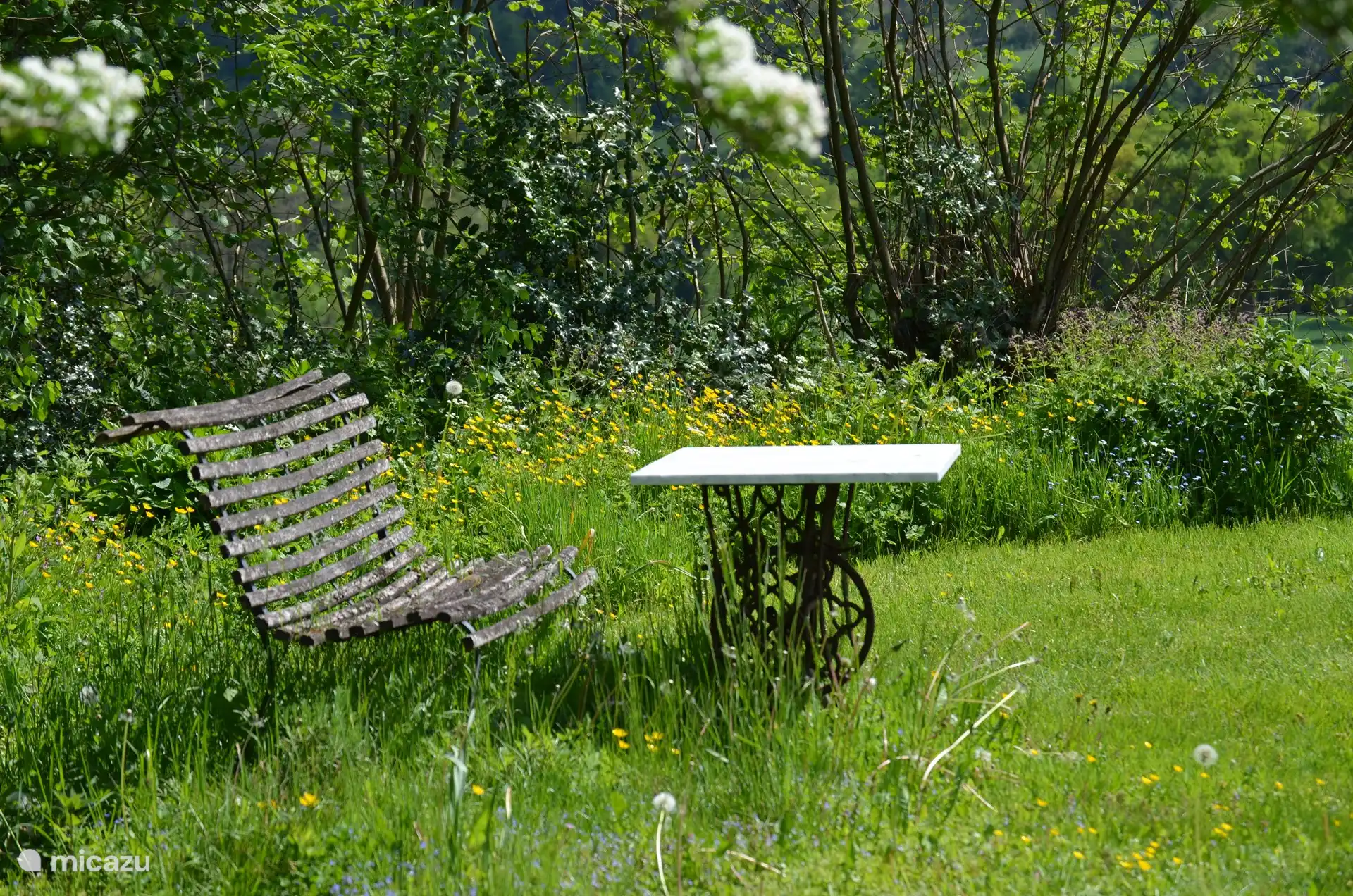 Im zeitigen Frühjahr lassen wir die Wilden stehen und mähen spät