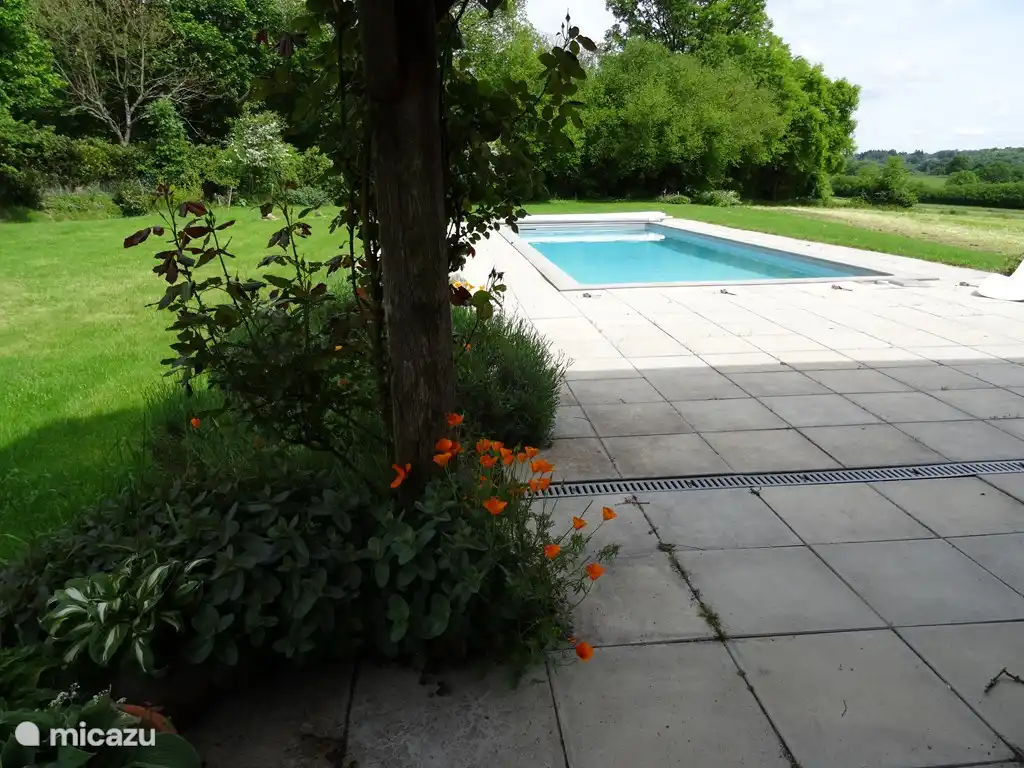 Schwimmbad von der überdachten Terrasse aus gesehen