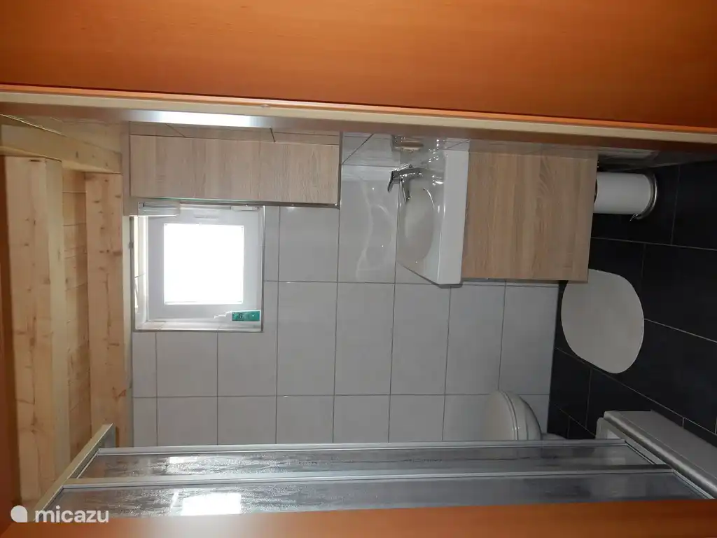 salle de bain (1) avec douche, WC et lavabo.