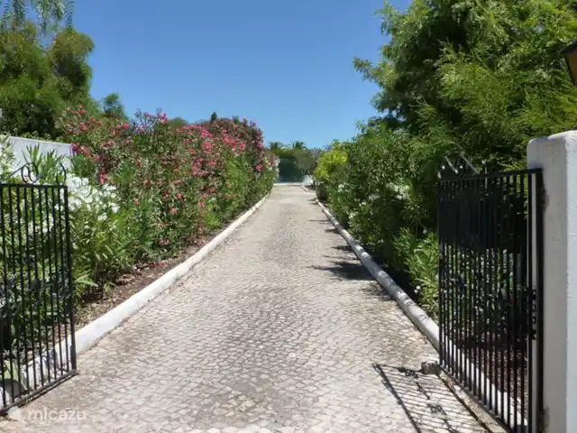 Casa comme Videiras | Portugal, Algarve, Carvoeiro - villa La longue allée avec portail d'entrée vous prive de la vue directe sur la villa du côté de la rue, de sorte que votre intimité est garantie.