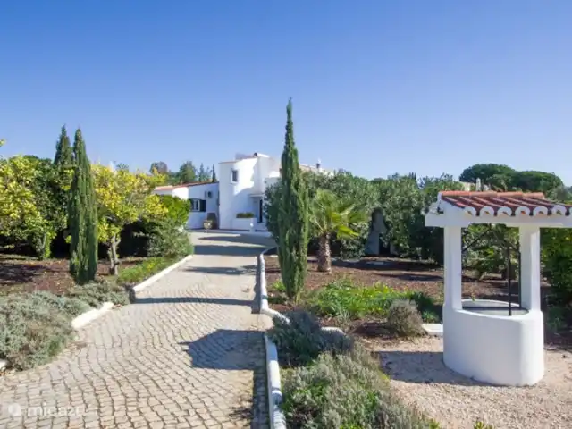 Casa comme Videiras | Portugal, Algarve, Carvoeiro - villa De l'allée, vous conduisez avec un virage à droite vers la maison.
Vous verrez des arbres fruitiers des deux côtés de l'allée.