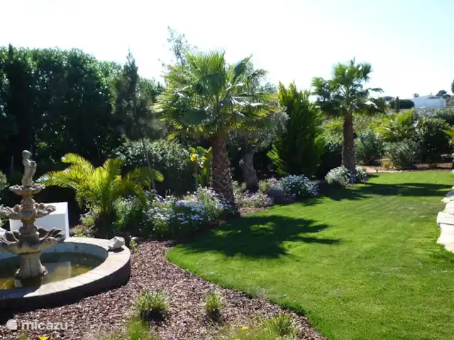 Casa comme Videiras | Portugal, Algarve, Carvoeiro - villa Le jardin a été en grande partie repensé en 2009, de sorte que le jardin est désormais planté d'une grande variété d'arbres, de plantes et d'arbustes, dont de nombreux arbres fruitiers, palmiers et oliviers.
En 2015, la pelouse a été renouvelée et un puits a été foré, afin qu'elle puisse être arrosée chaque nuit