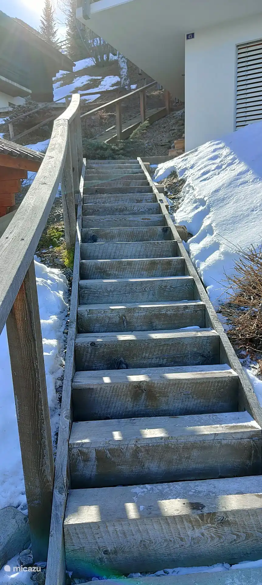 1er escalier depuis l'allée