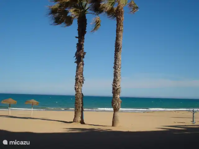 Location de Vacances Espagne, Costa Blanca, Torrevieja, appartement - Appartement de luxe la mata 1B la plage de la mata