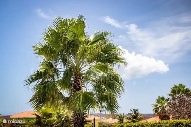 'Villa Kas di Dos' with private pool