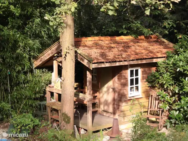Villa forestière 'De Veenhof' | Pays-Bas, Overijssel, Holten - maison de vacances Ce joli cottage est le sauna !
