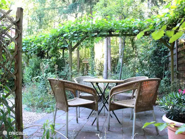 Villa forestière 'De Veenhof' | Pays-Bas, Overijssel, Holten - maison de vacances Une terrasse ensoleillée entre vignes, lauriers roses et arbres fruitiers.
