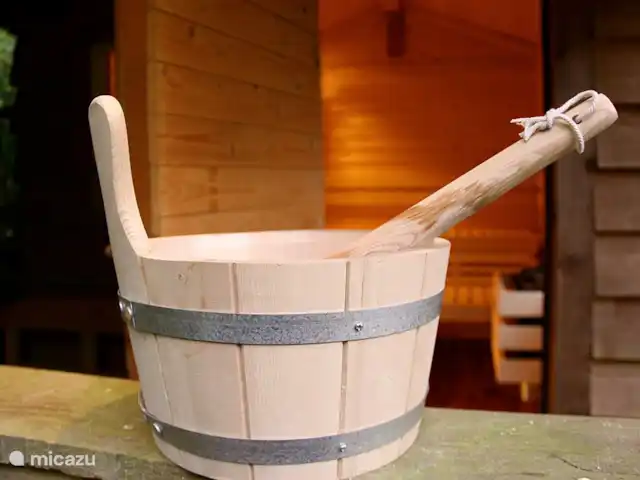 Villa forestière 'De Veenhof' | Pays-Bas, Overijssel, Holten - maison de vacances Le sauna extérieur