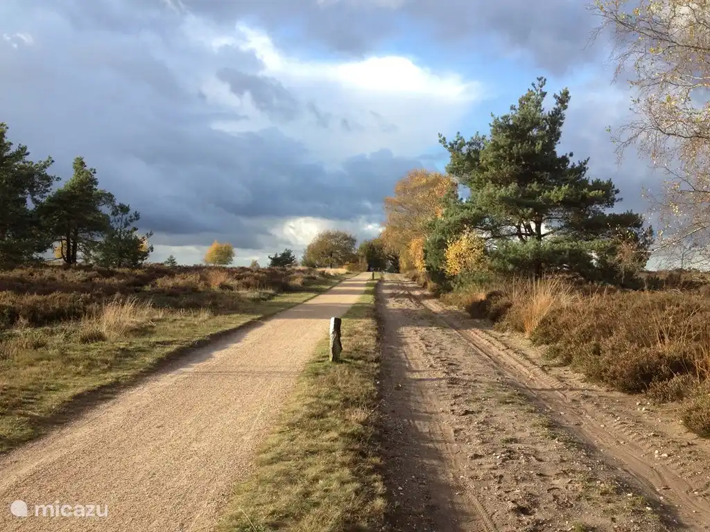 ... Genießen Sie Radfahren oder zu Fuß auf den Holterberg / Nationalpark Sallandse Hügeln ...