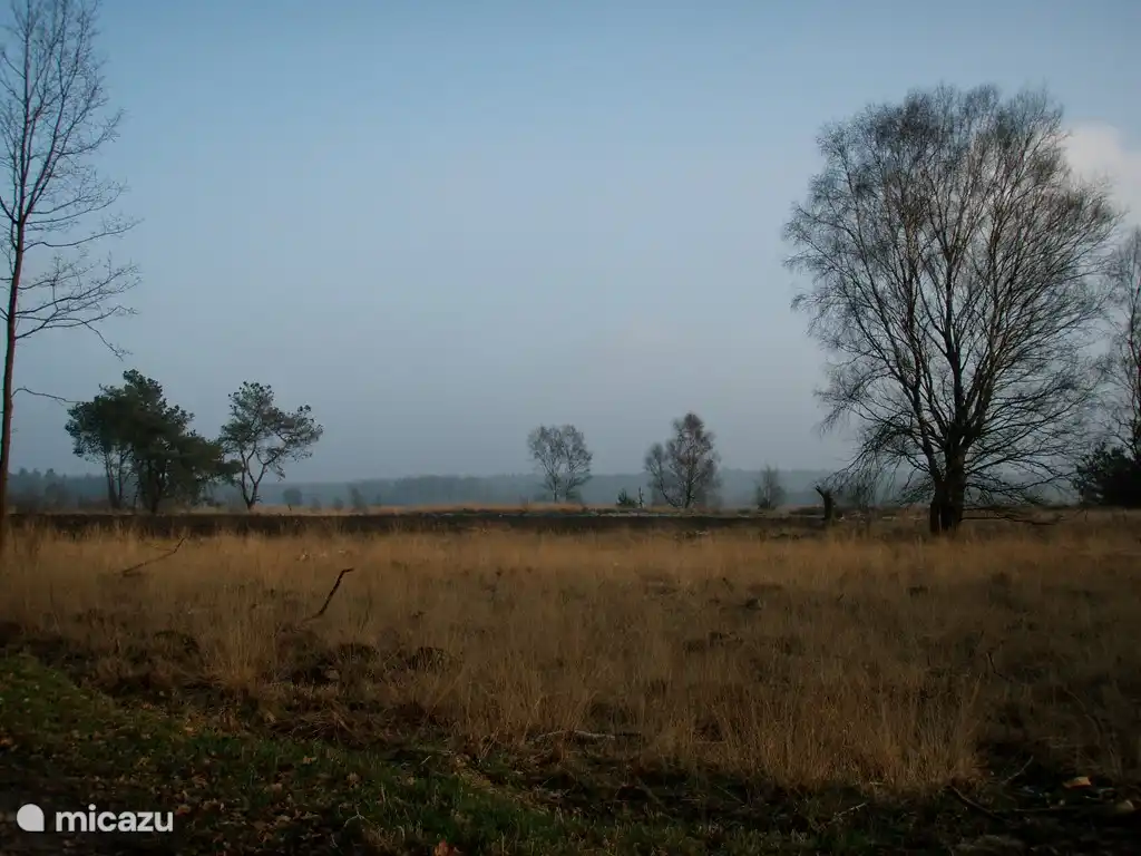 Naturschutzgebiet 'De Borkeld' Entfernung zu Fuß.
