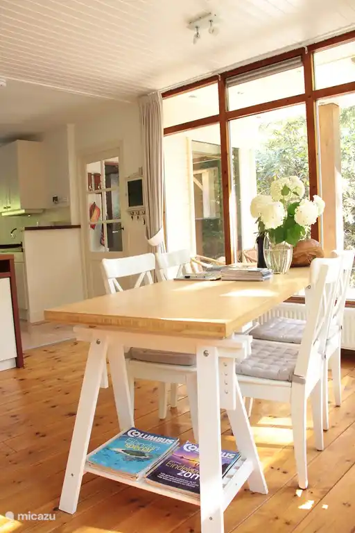 Es ist schön Eichhörnchen durch die Glasfront rund Beobachtung.