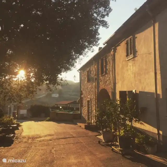 Die Straße im Abendlicht