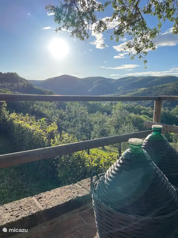 Blick von der privaten Terrasse.