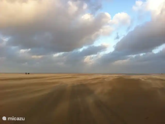 Location de Vacances Pays-Bas, Texel, De Cocksdorp, bungalow - Maison de Texel La belle grande plage au phare.