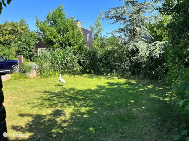 Location de Vacances Pays-Bas, Texel, De Cocksdorp, bungalow - Maison de Texel Cour