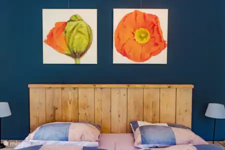 Vakantiehuis Nederland, Zeeland, Burgh Haamstede vakantiehuis Het Schouwse Duin
