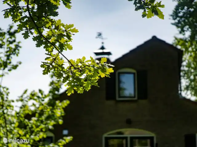 Het Schouwse Duin | Pays-Bas, Zélande, Burgh-Haamstede - maison de vacances Maison depuis le jardin